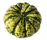 Squash: Harlequin