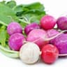 Radish: Easter Egg