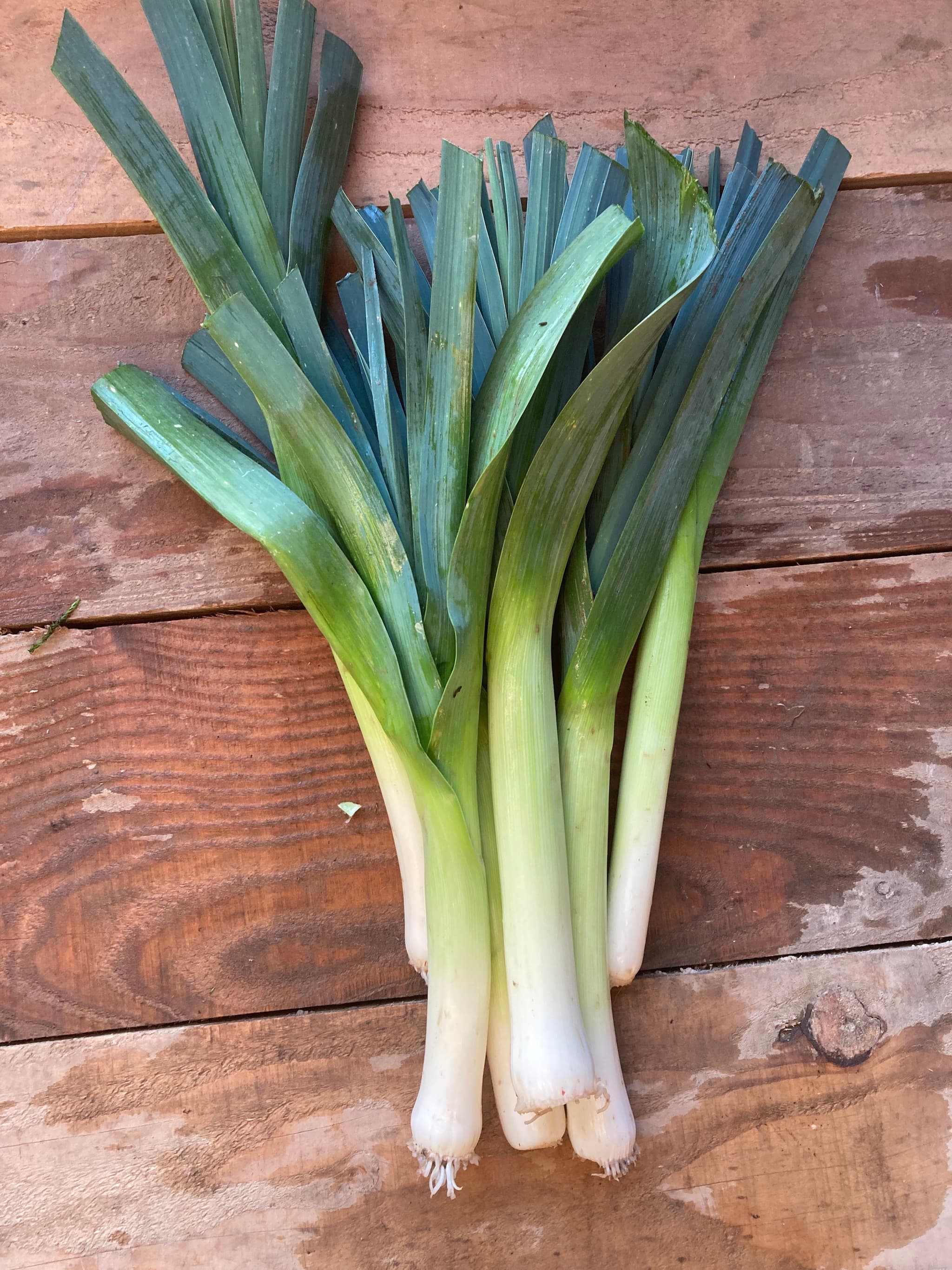 Leeks