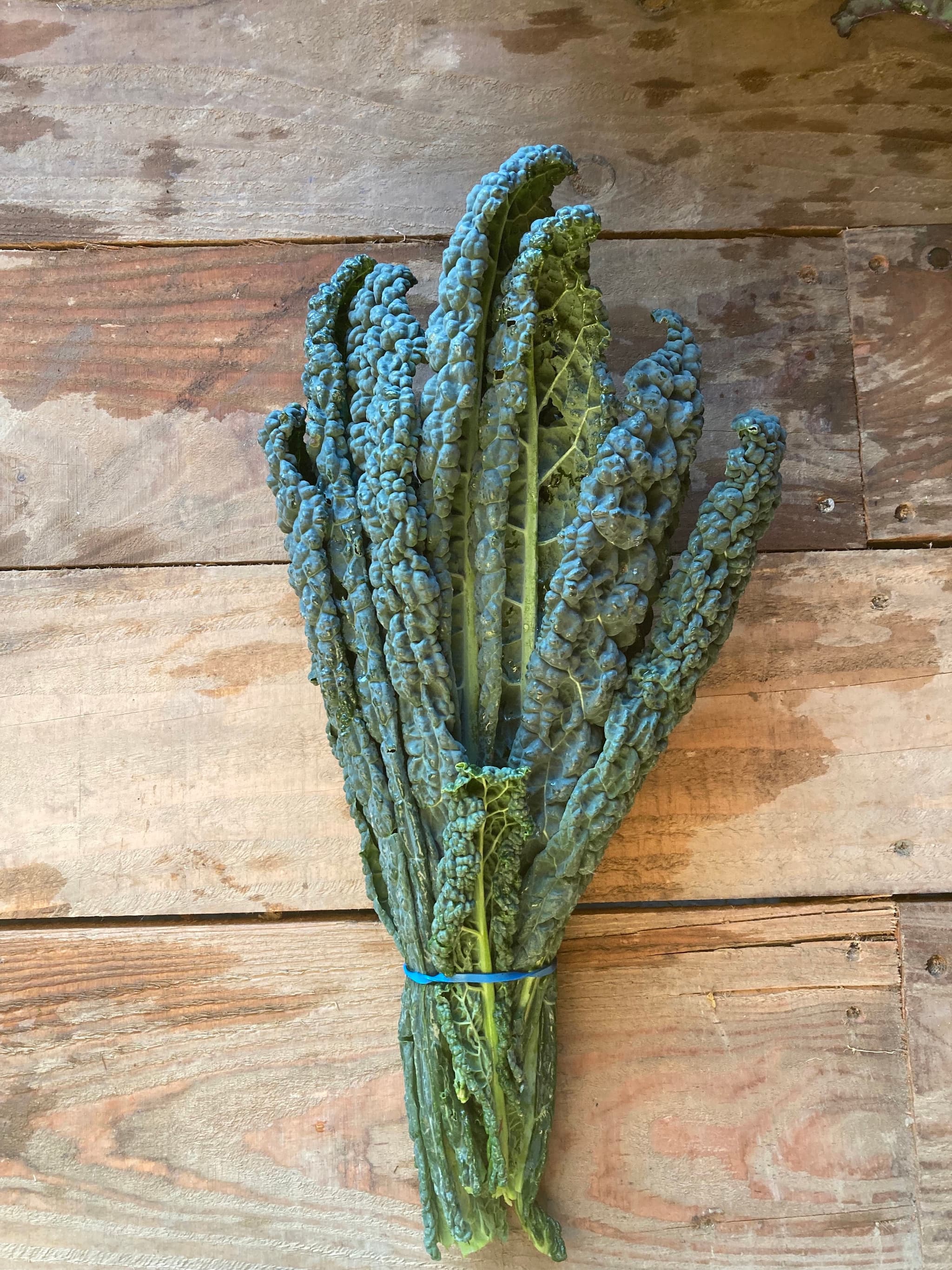 Kale - Cavolo Nero