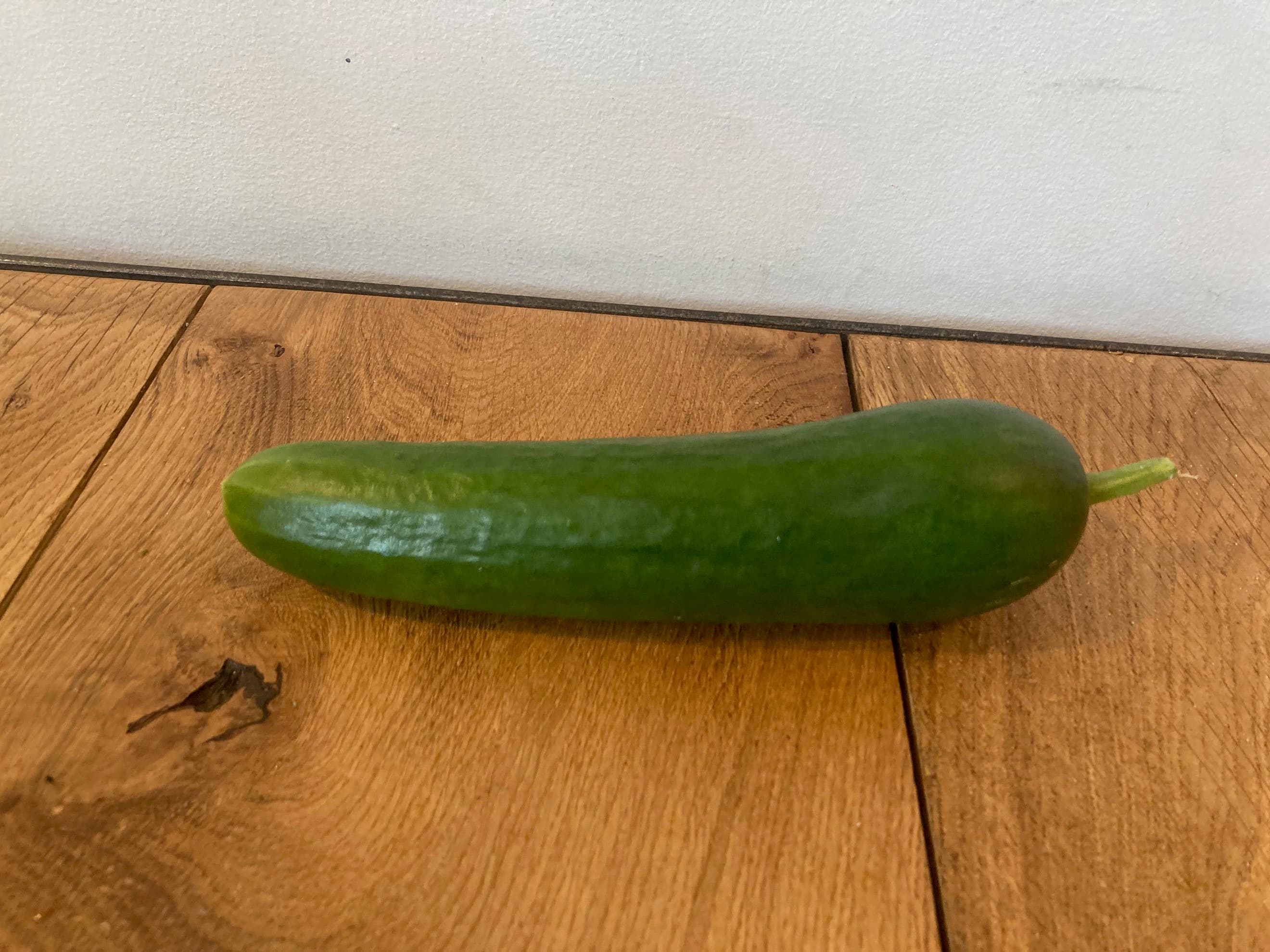 Cucumber