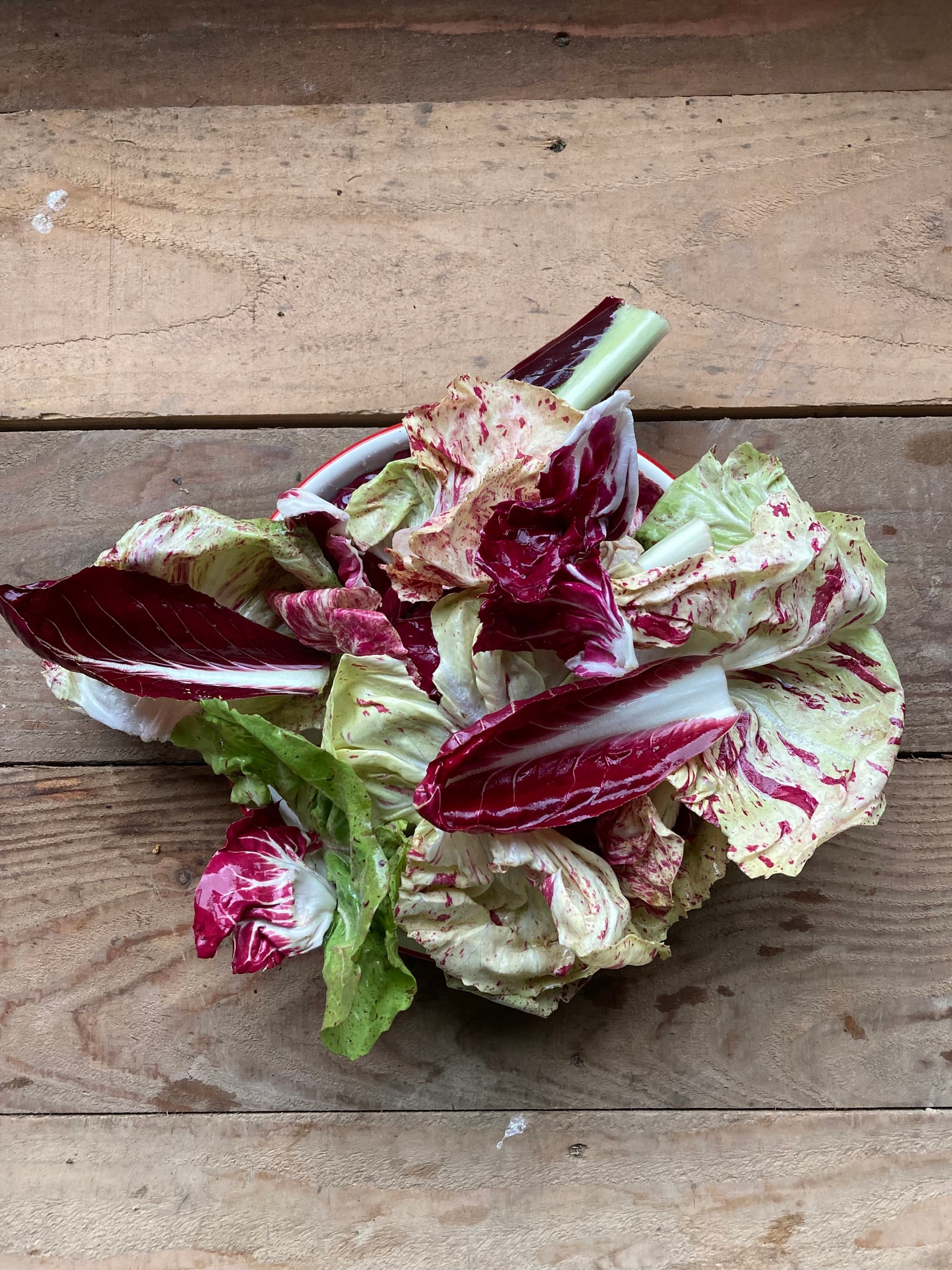 Radicchio mix