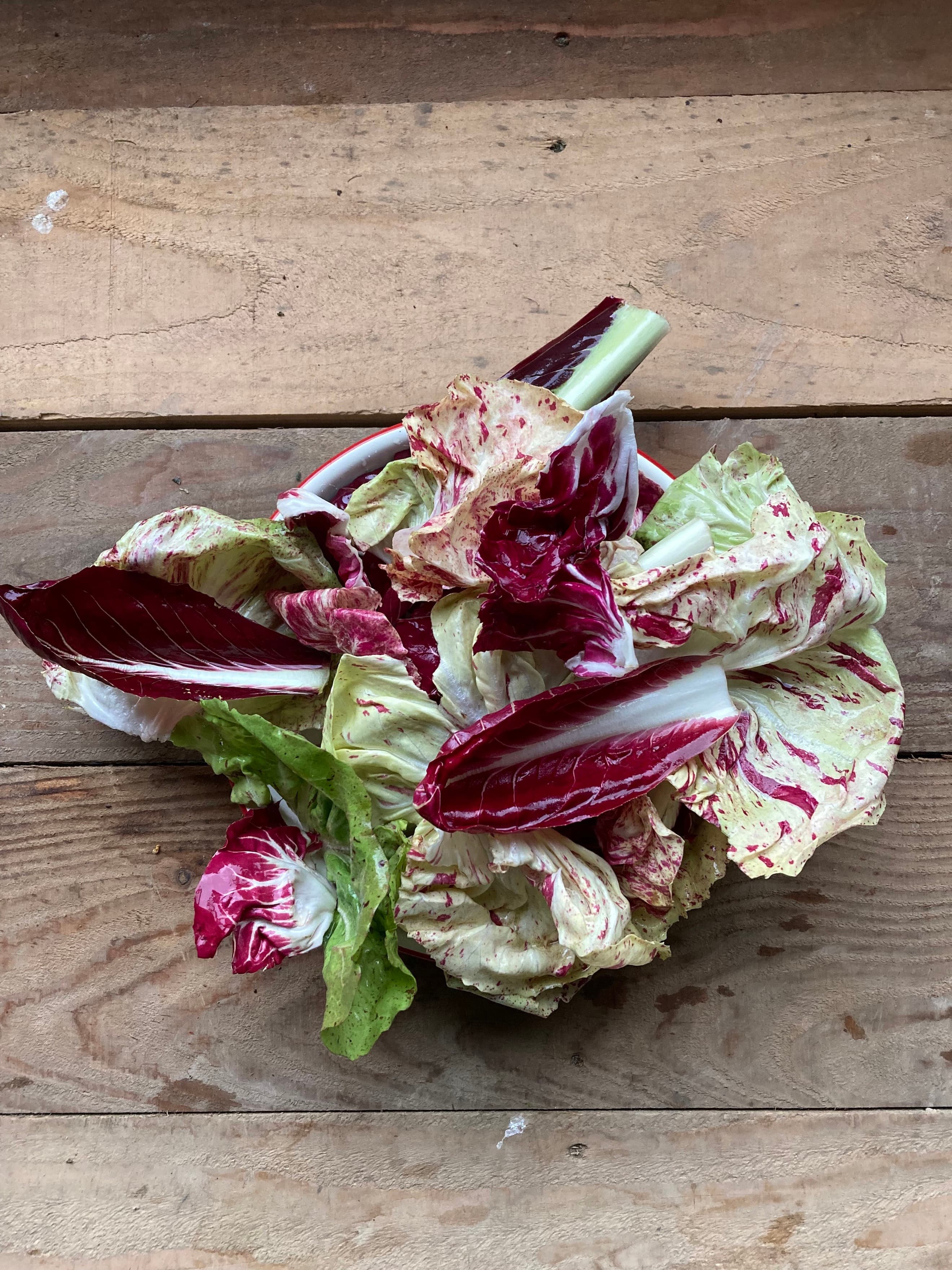 Radicchio mix