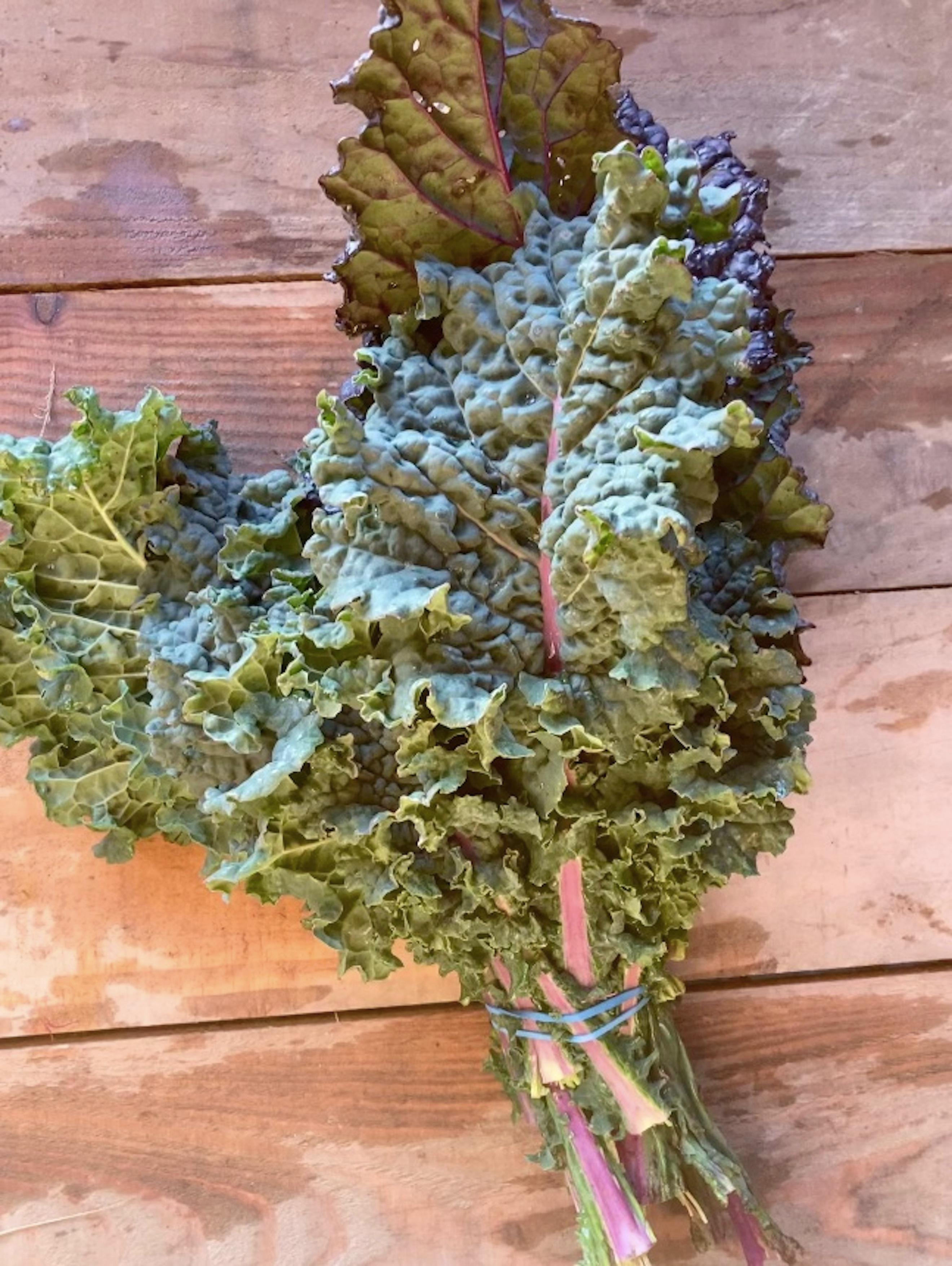 Image of the product