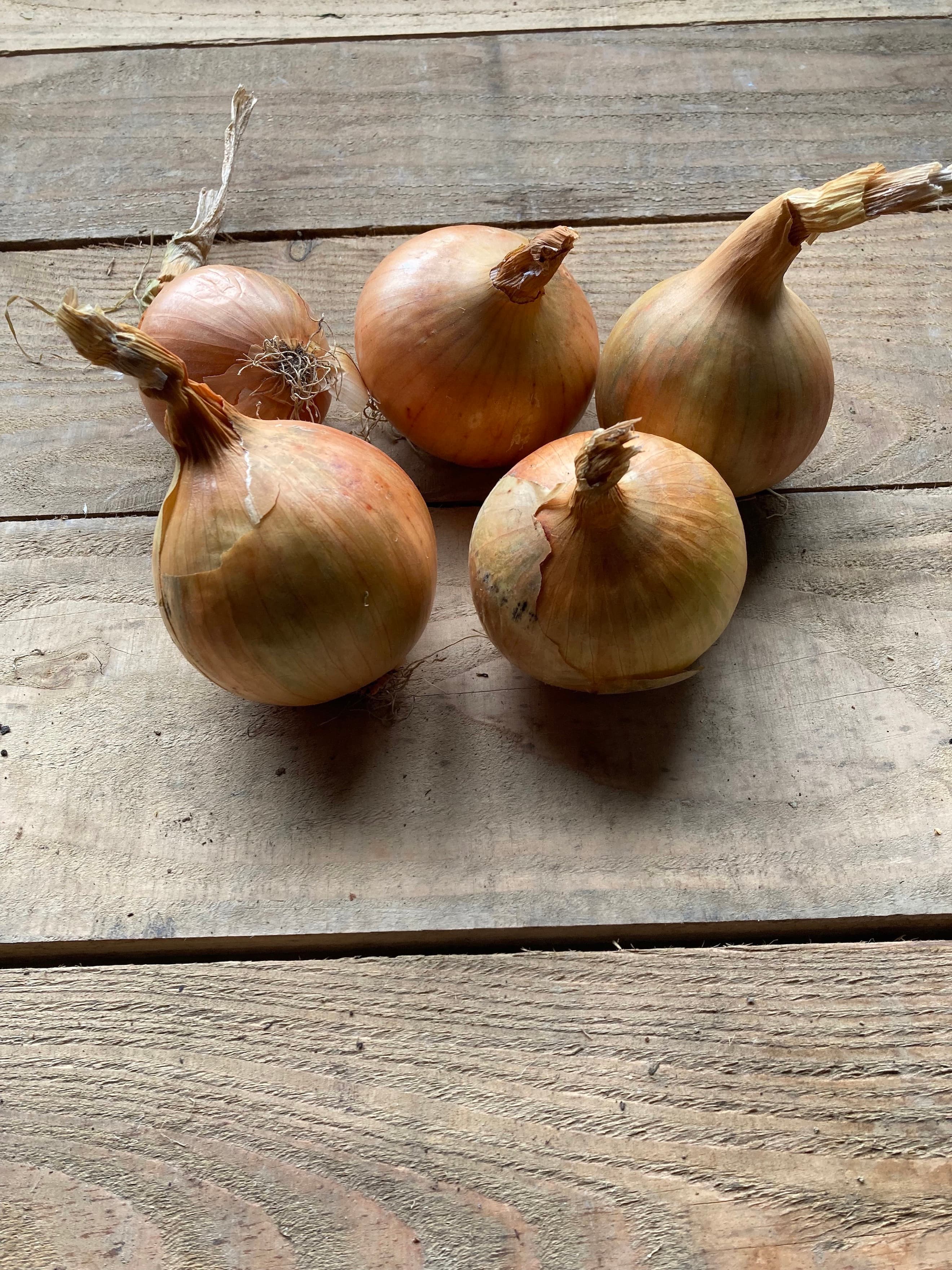 White onions