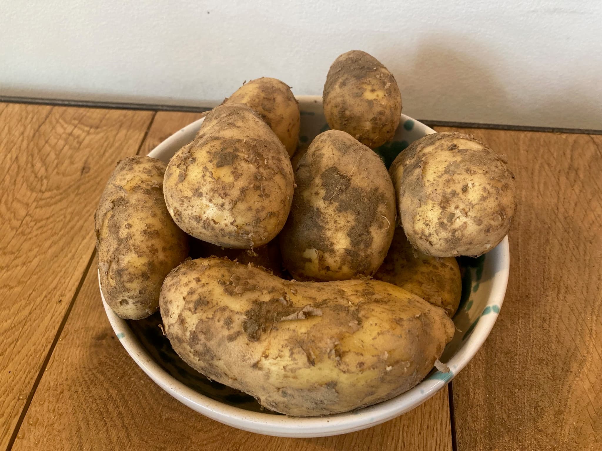New Potatoes - Charlotte