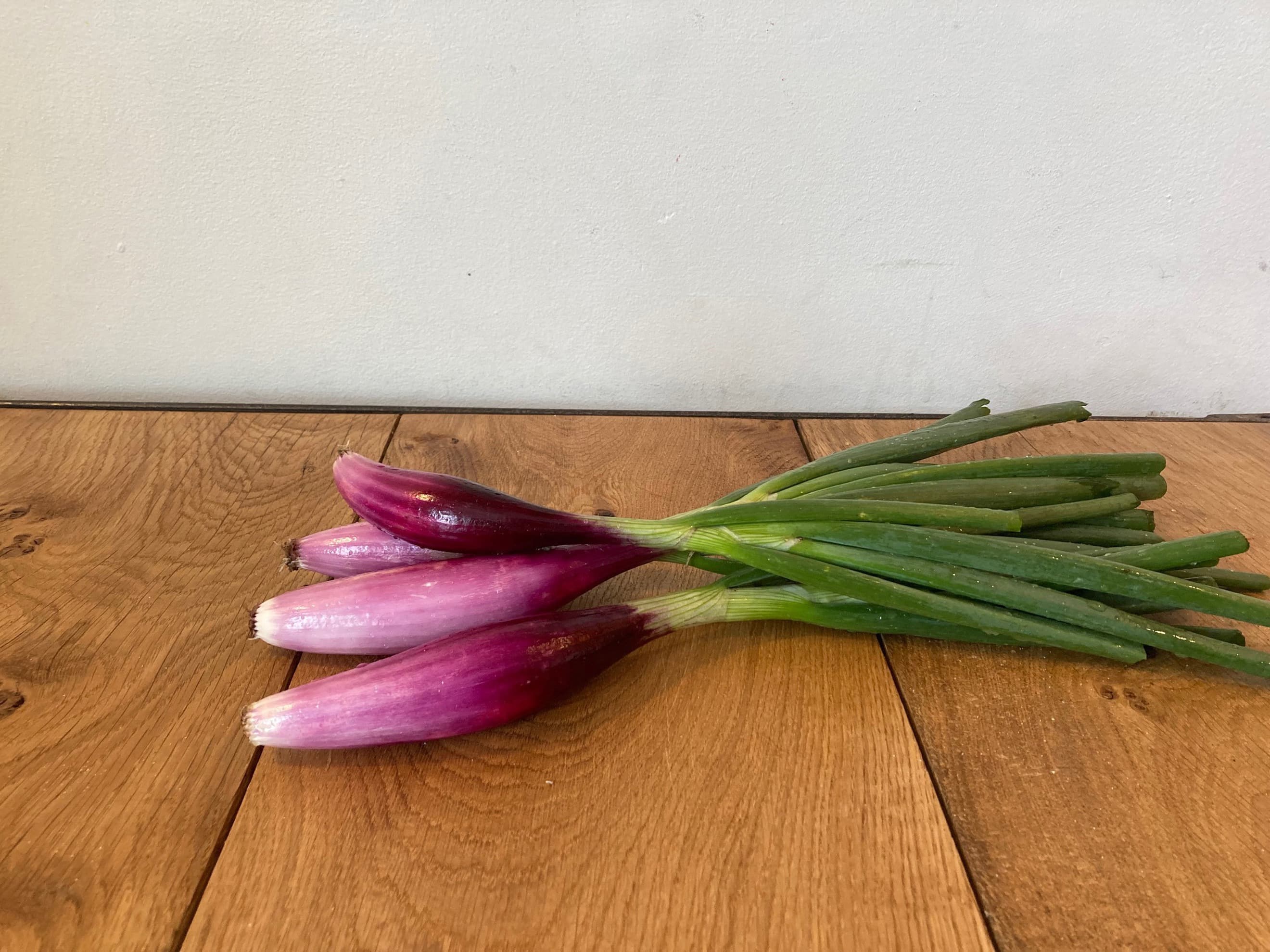 fresh red onion - long red florence
